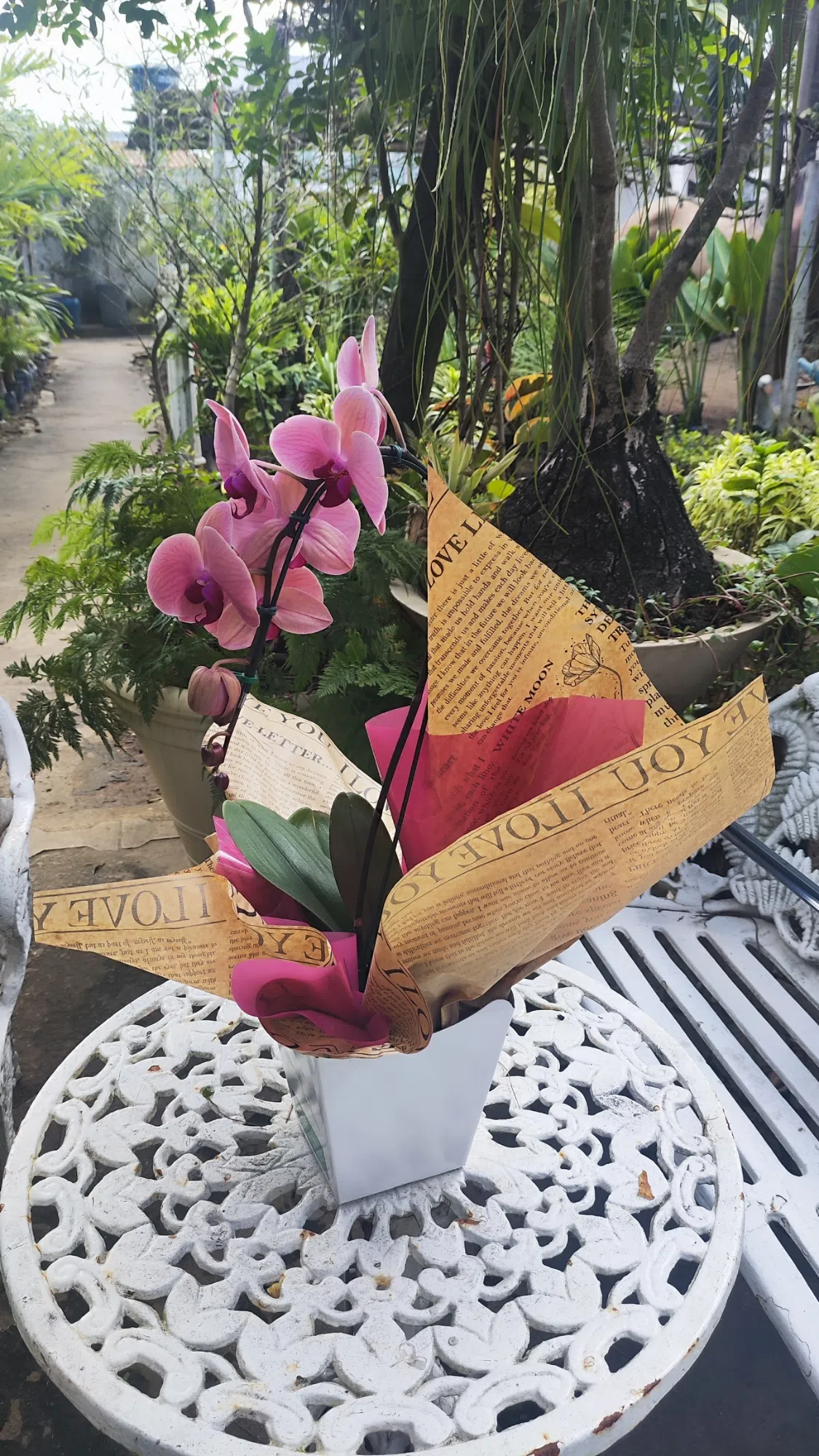 Orquídea da LR